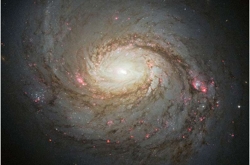 the-squid-galaxys-neut-1.jpg