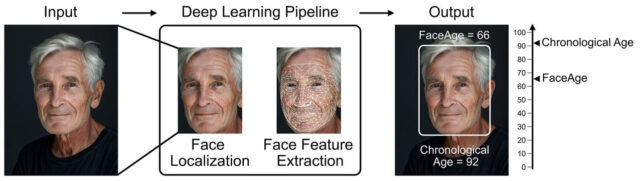 페이스에이지(faceage).jpeg 페이스에이지(faceage).jpeg