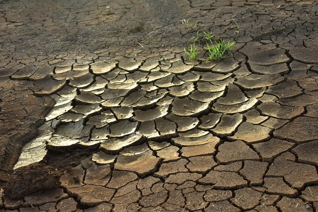 drought-2992785_640.jpg drought-2992785_640.jpg
