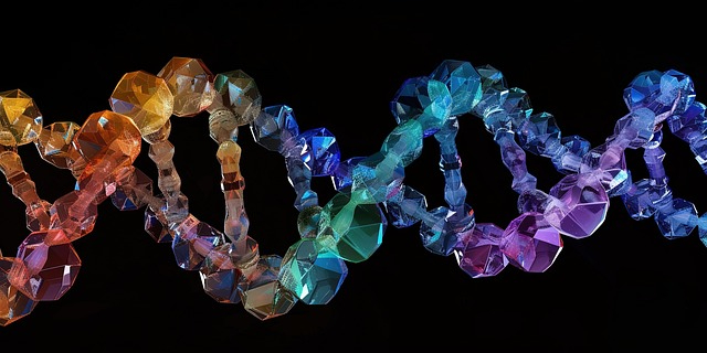 RNA 픽사베이.jpg