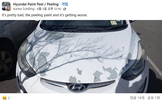 현대차 페인트 벗겨짐.jpg