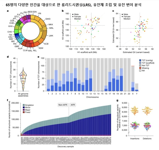 65명의 다양한 인간을 대상으로 한 롱리드시퀀싱(LRS), 유전체 조립 및 유전 변이 분석.png