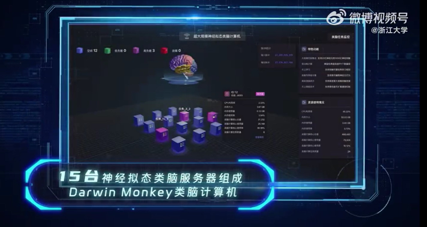 다윈몽키.jpg
