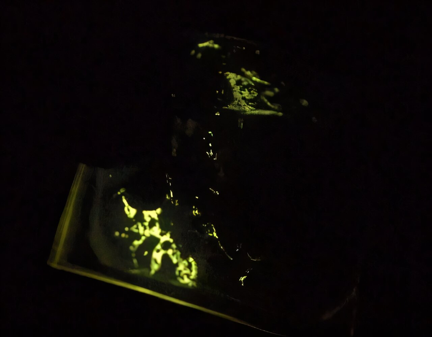 crystal-free-mechanolu.jpg crystal-free-mechanolu.jpg