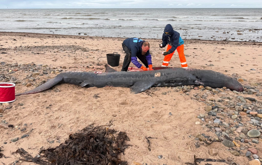 573013227_830962295965566_6606548265891496105_n.jpg 573013227_830962295965566_6606548265891496105_n.jpg