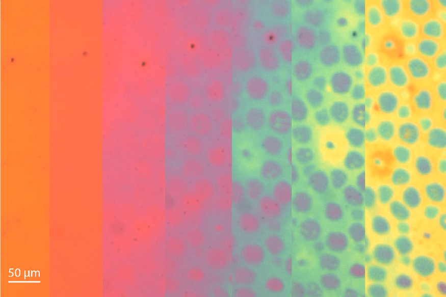 연성 광학 피부 샘플의 색상 패턴 진화 과정 타임랩스.png