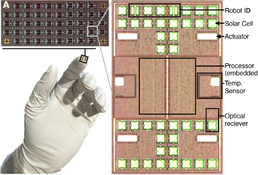 세포급 로봇-1.jpg