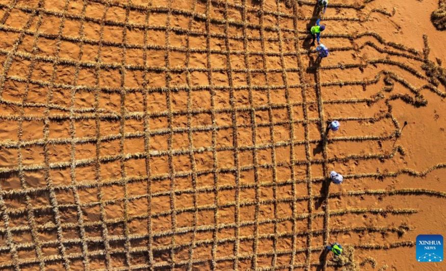 사막을 옥토로.jpg