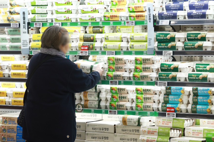 대형마트 계란 연합뉴스.jpg