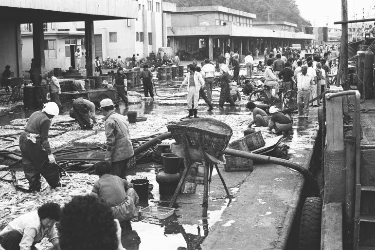 믁호 어시장.jpg