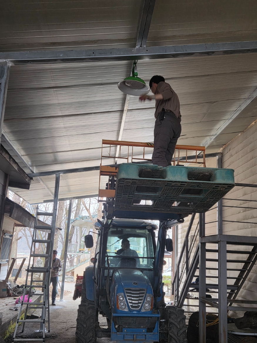 천안 양곡리 옛날 농기구 전시장 지붕 올리기.jpg